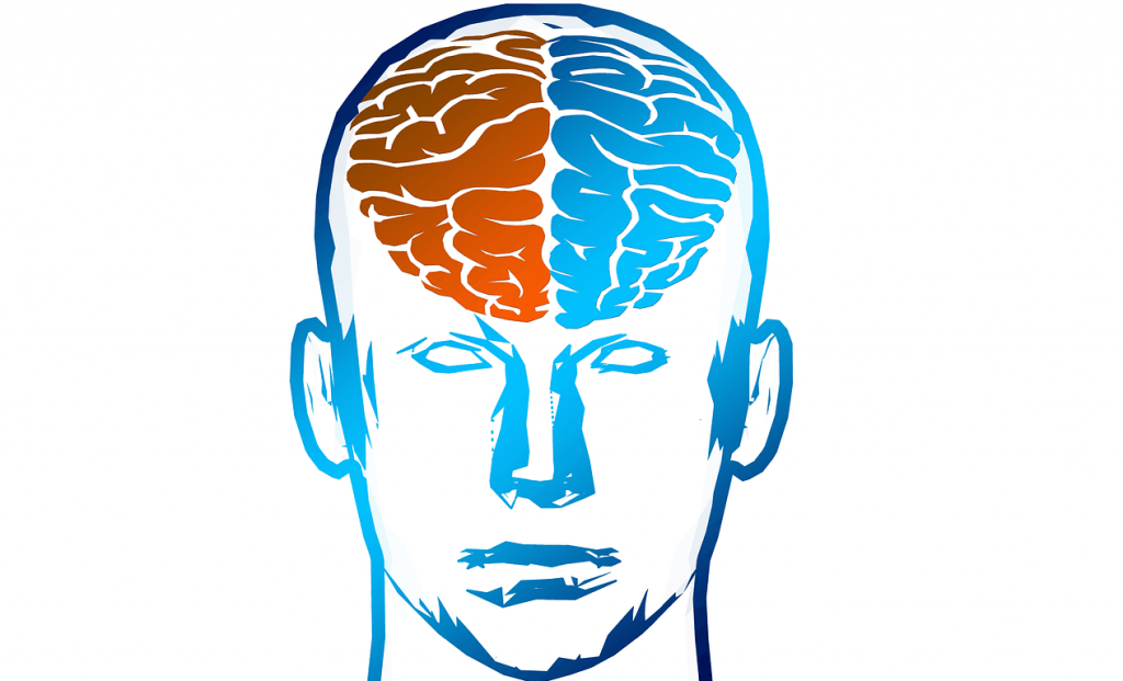 cartoon head with red and blue brain