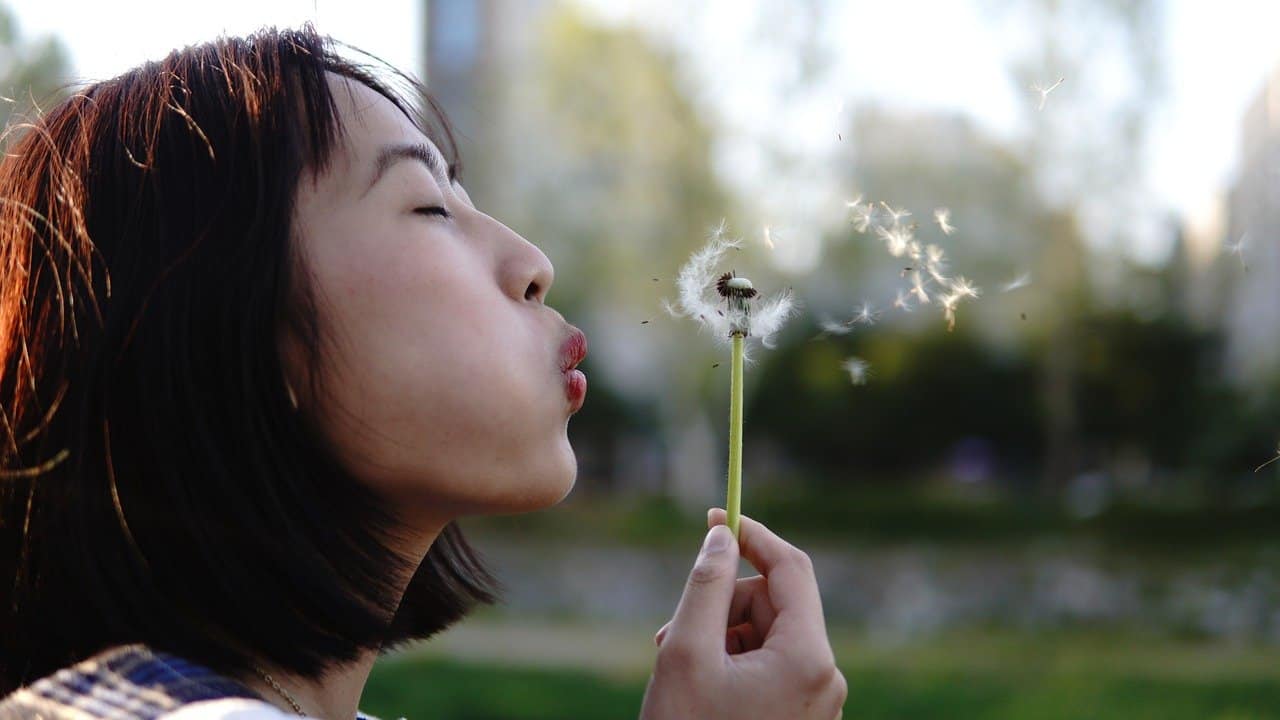 woman blowing dandelion